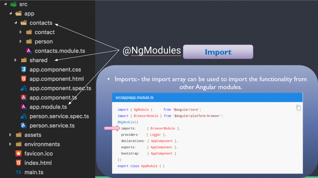 ng modules import structure