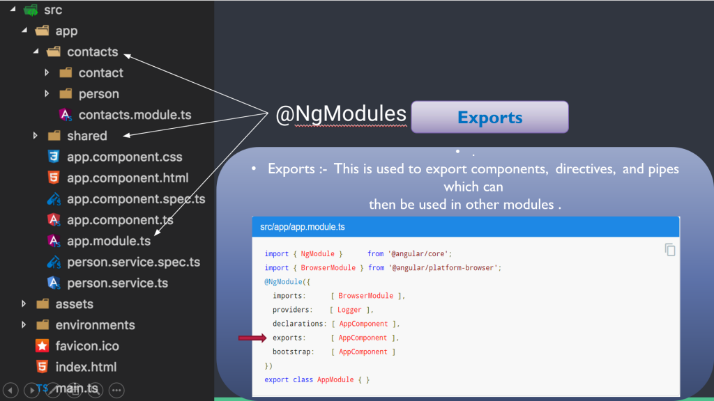 ng modules export structue