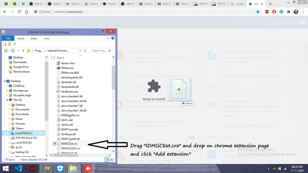 IDMGCExt.crx drop on google chrome extensions page